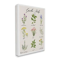 Stupell Industries Garden Herb Illustrated Chart Natural Kitchen Seasoning Canvas Wall Art