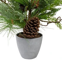 2ft. Unlit Real Touch™️ Mixed Pine & Cedar Artificial Christmas Tree in Gray Pot
