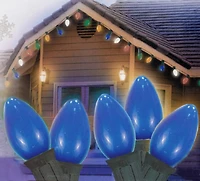 25ct. Opaque C7 Christmas Light Set