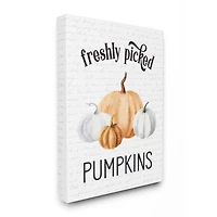 Stupell Industries Freshly Picked Pumpkins Canvas Wall Art
