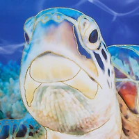 Sea Turtle Outdoor Canvas Art Print - 35"x35"