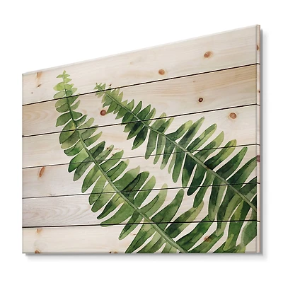 Designart - Fern Leaves Detail I