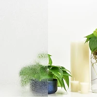 Brewster Glacier Sidelight Premium Film