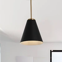 Hello Honey® Robert Stevenson Lighting Beckett Black & Brushed Gold Metal Ceiling Light with Shade