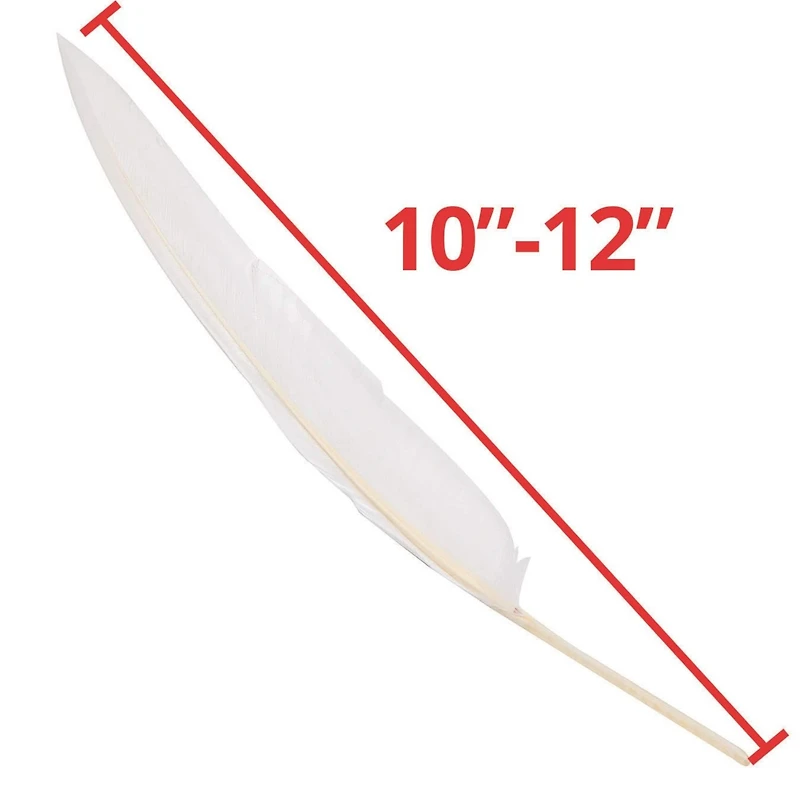 S&S® Worldwide White Long Quill Feathers, 144ct.