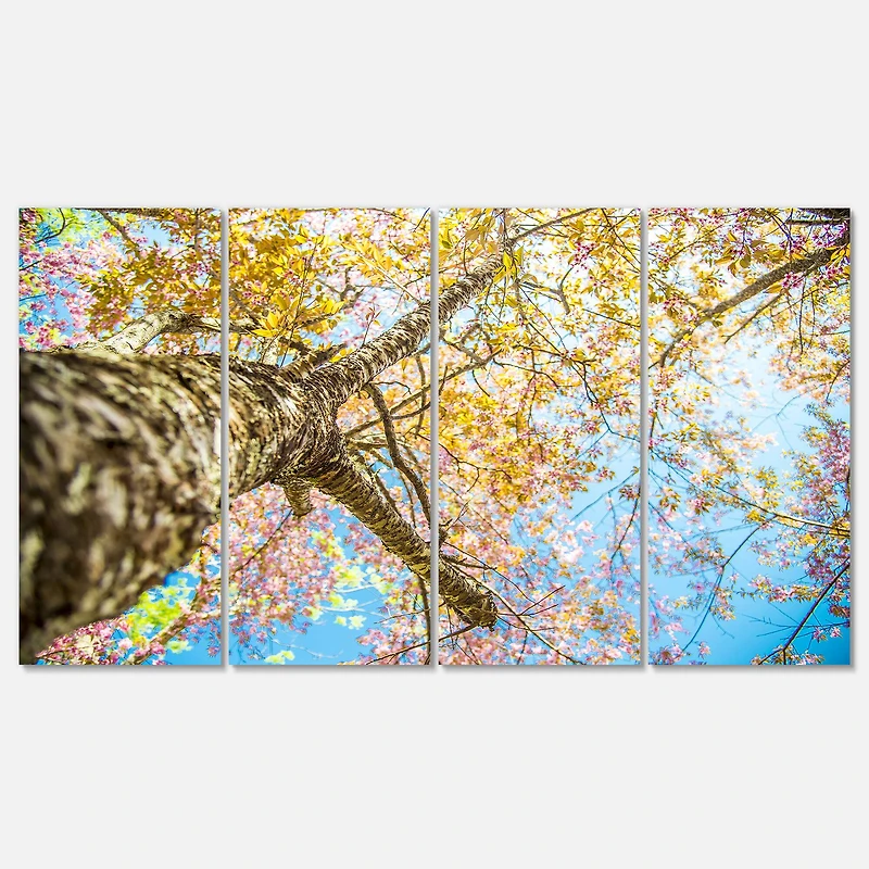 Designart - Under Branch of Yellow Cherry Tree