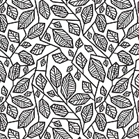 Cricut Joy™ Smart Iron-On™ Natalie Malan Nature Walk Black Patterned Sampler