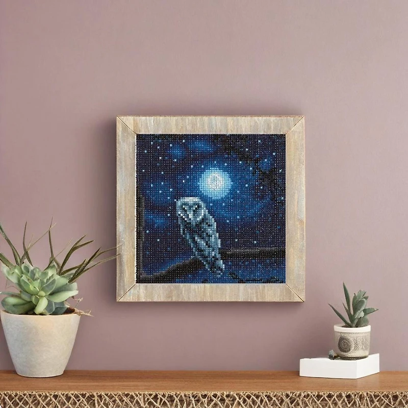 Night Owl Painting Diamond Art Kit by Make Market®