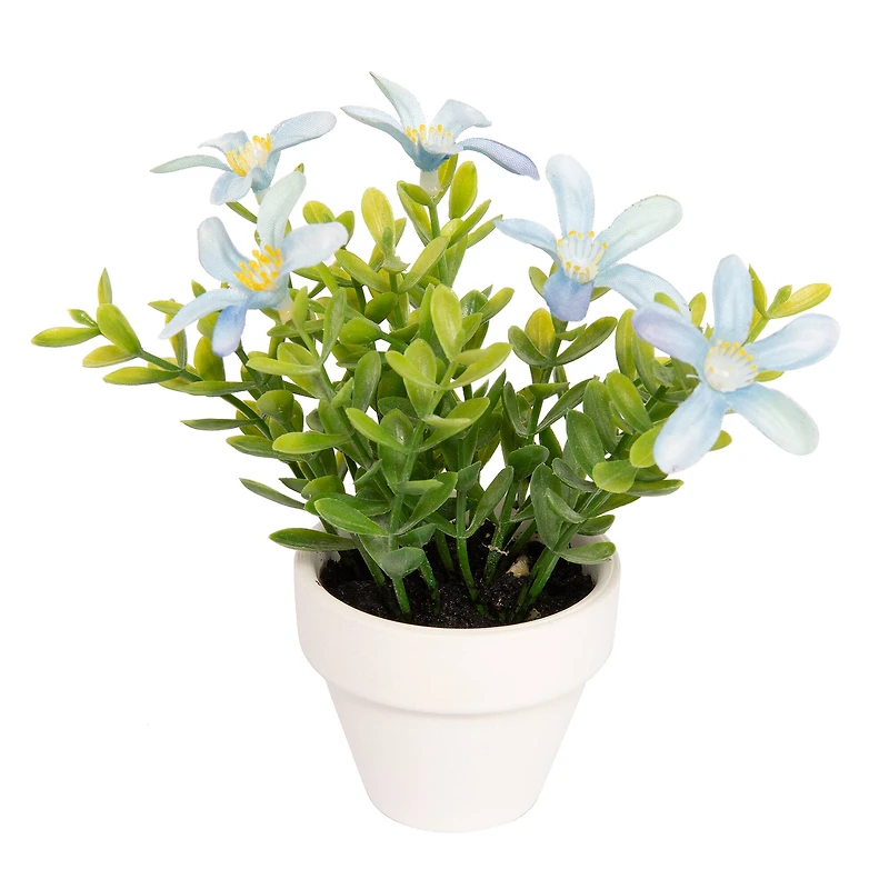 Assorted Micro Premade Flowering Plant, 1pc. by Ashland®