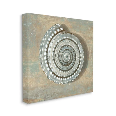 Stupell Industries Nautical Spiral Shell Vintage Coastal Muted Neutral Canvas Wall Art