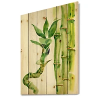 Designart - Bamboo Branches In The Forest VI