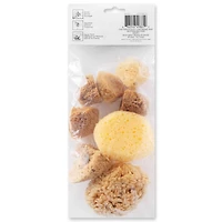 6 Pack: Variety Sponge Value Pack by Craft Smart®