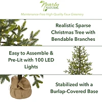 4ft. Pre-Lit Fraser Fir Artificial Christmas Tree, Clear LED Lights
