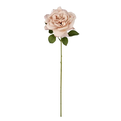 24" Beige Tea Rose by Ashland®