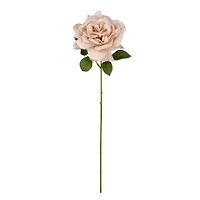 24" Beige Tea Rose by Ashland®