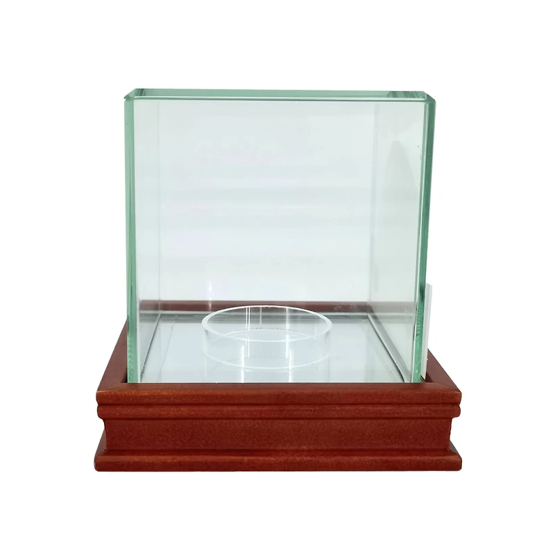 Deluxe Baseball Display Case by Studio Décor®