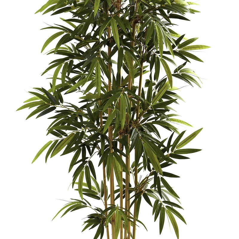 6ft. Potted Bamboo Tree