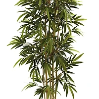 6ft. Potted Bamboo Tree
