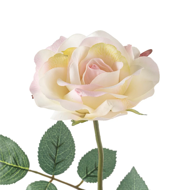 12 Pack: White Princess Rose Stem by Ashland®
