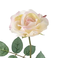 12 Pack: White Princess Rose Stem by Ashland®
