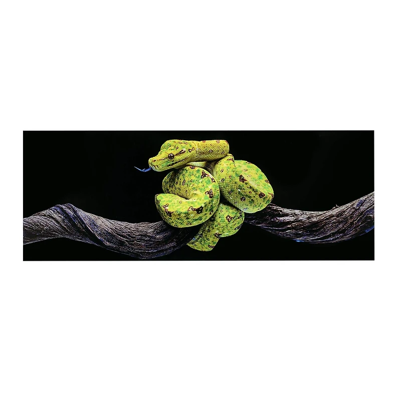 48" Green Tree Snake Glossy Lacquer Wall Art