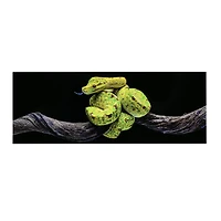 48" Green Tree Snake Glossy Lacquer Wall Art