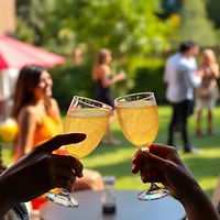 Bakell® Brew Glitter® Edible Drink Glitter