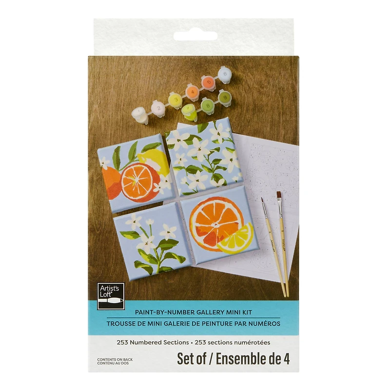Citrus Paint-by-Number Gallery Mini Kit by Artist's Loft®