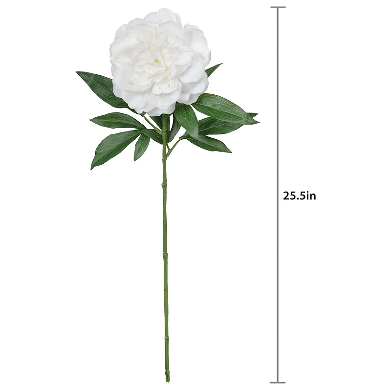 25.5" Peony Real Touch Stem by Ashland
