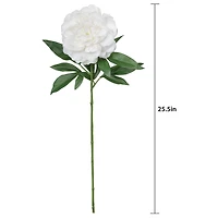 25.5" Peony Real Touch Stem by Ashland