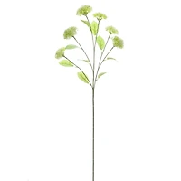 29.75" White Queen Anne's Lace Stem by Ashland®