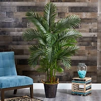 5.75ft. Areca Palm Tree in Decorative Metal Pail with Rope