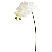 White Moth Orchid Stem, 6ct.