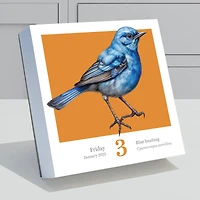 TF Publishing 2025 Birds: Backyard & Beyond Daily Desktop Calendar