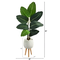 5ft. Travelers Palm Artificial Tree in White Planter with Stand