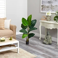 3.5ft. Potted Travelers Palm Tree