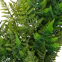 28" Artificial Fern Spring Twig Wreath