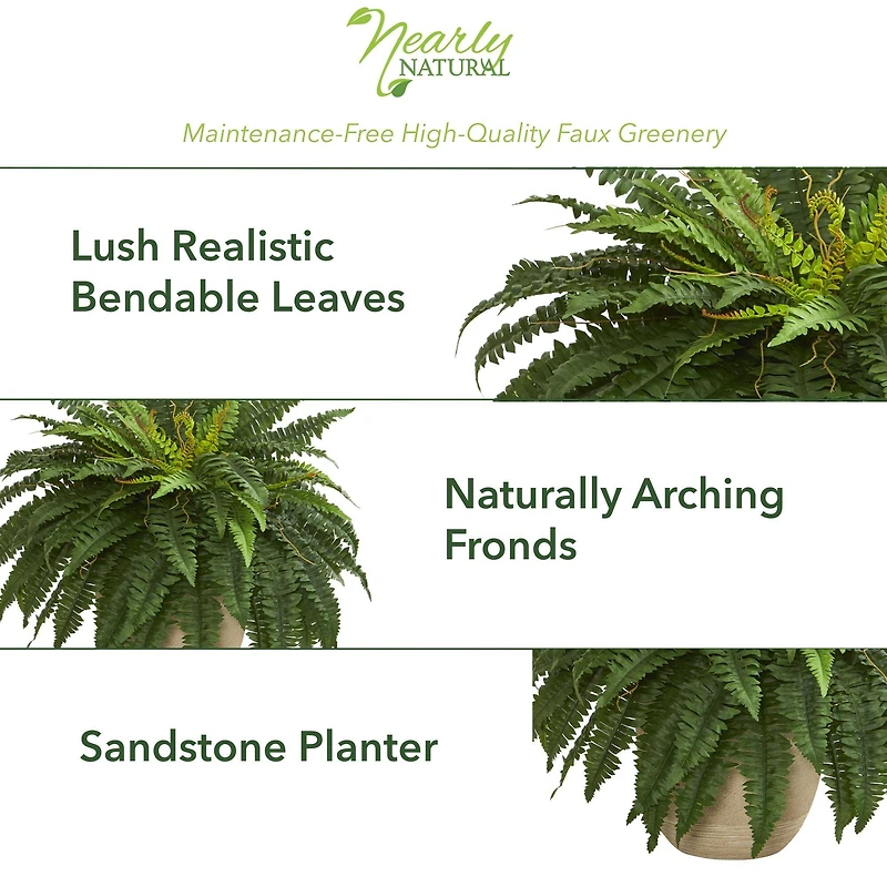 22" Boston Fern In Sandstone Planter