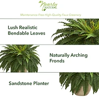 22" Boston Fern In Sandstone Planter