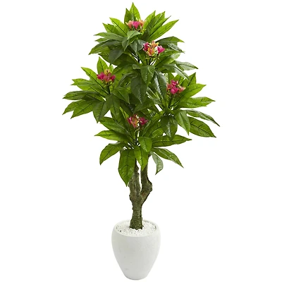 5.5ft. Plumeria Tree in White Planter