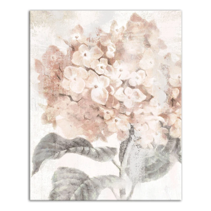 Closeup Hydrangea 16" x 20" Canvas Wall Art