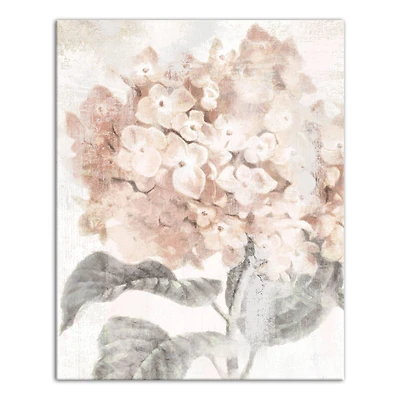 Closeup Hydrangea 16" x 20" Canvas Wall Art