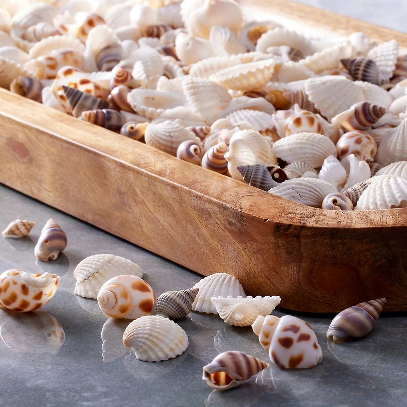 Shell Beads by Bead Landing™