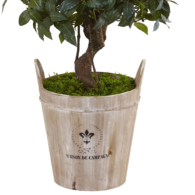 4.5ft. Sweet Bay Double Topiary Tree in Farmhouse Planter