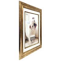 Home Champagne Gold Frame with Beveled Mat by Studio Décor®
