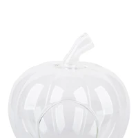 7" Glass Pumpkin Terrarium by Ashland®