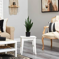 22" Potted Snake Plant