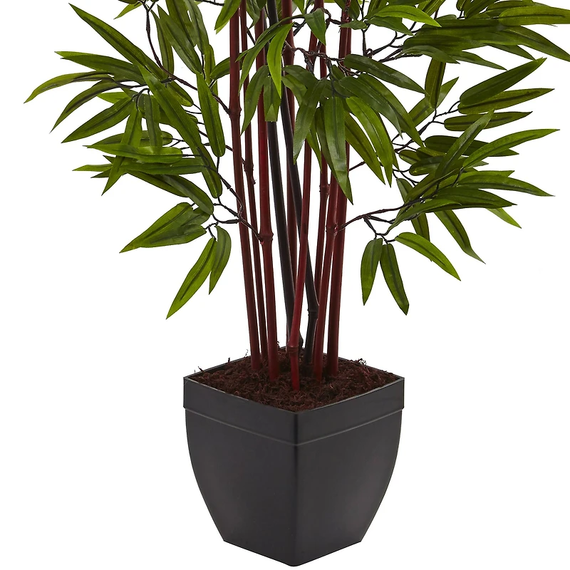 4ft. Potted Bamboo Silk Tree
