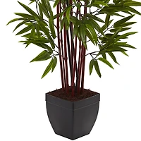 4ft. Potted Bamboo Silk Tree