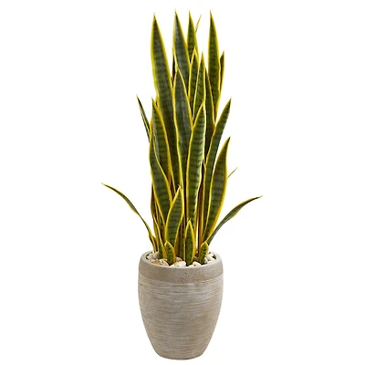 3.5ft. Snake Plant in Sand Colored Planter